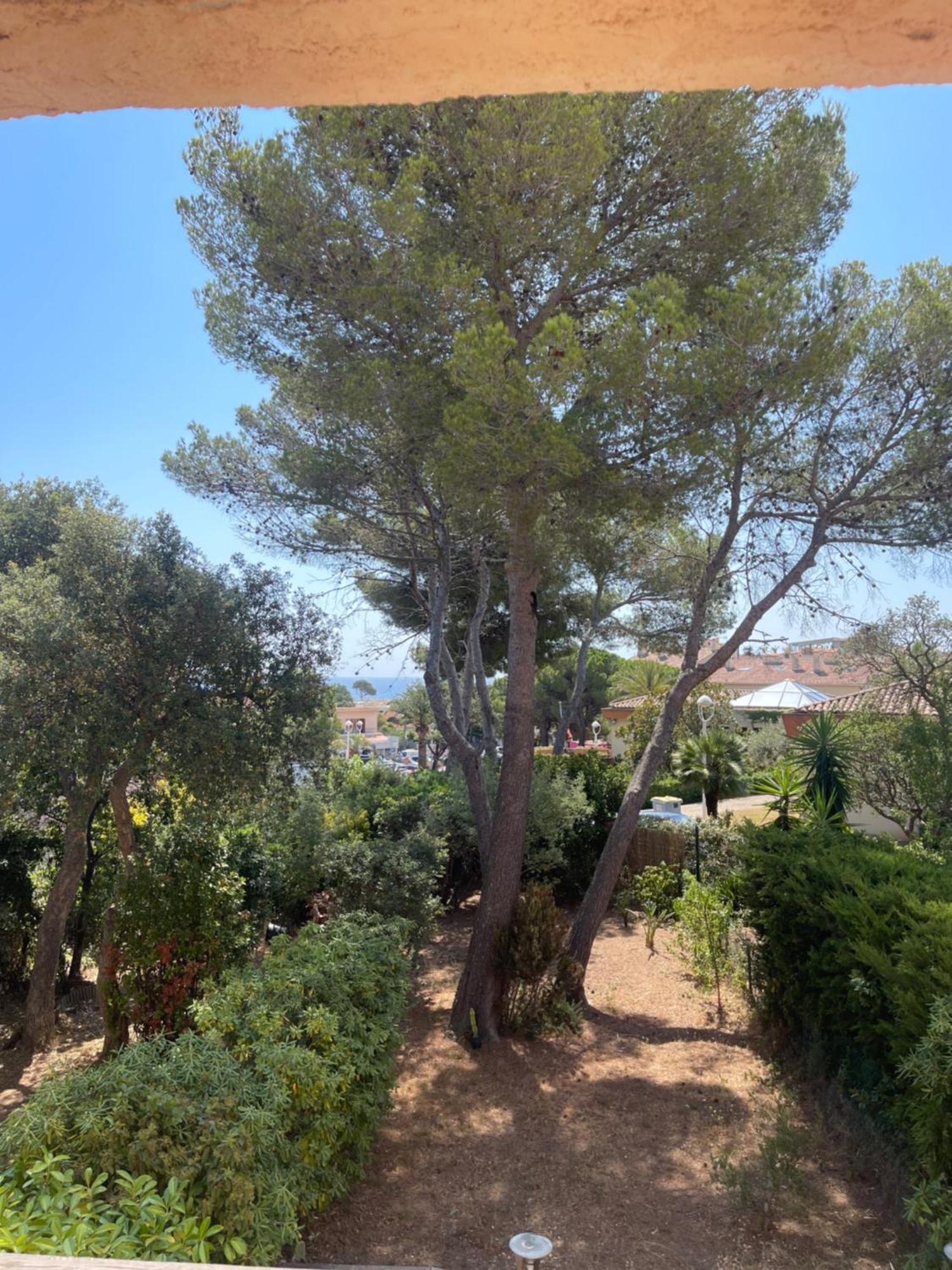 T3 Calme Famille A Saint Aygulf Appartement